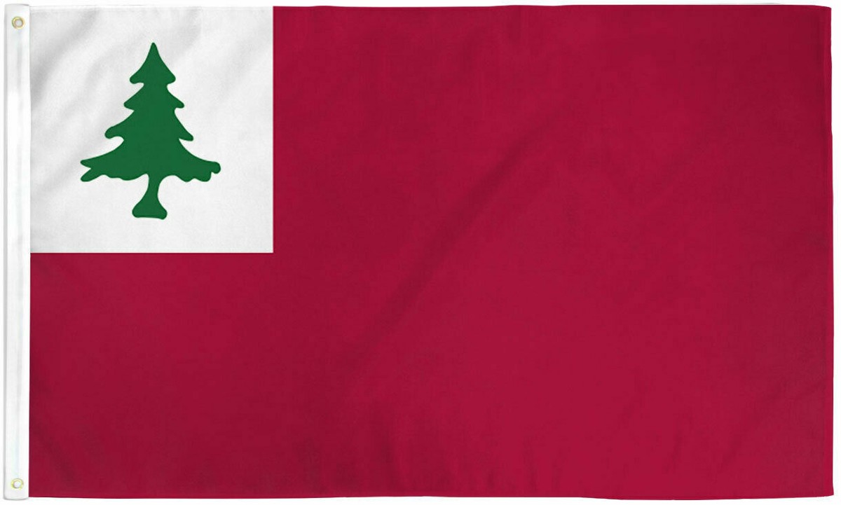 Continental Drapeau 3x5 Révolutionnaire Chaud Trumbull Armée - Foto 7