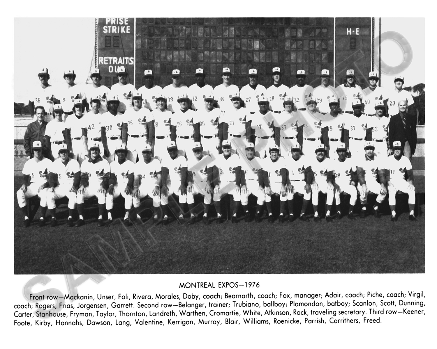 1976 MONTREAL EXPOS BASEBALL 8X10 TEAM PHOTO eBay