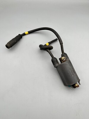 Kawasaki ZX-10 ZX9R ZX6R ZXR750 ZZR 600 1100 Zündspule Ignition