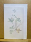 Picture 4 of 4