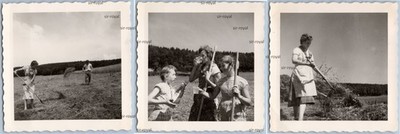 3x Agriculture Field Work - 1950s Switzerland - Photo 8x8cm
