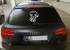 Bild 15 von 41