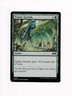 2023 MTG MAGIC THE GATHERING WILDS OF ELDRAINE TITANIC GROWTH