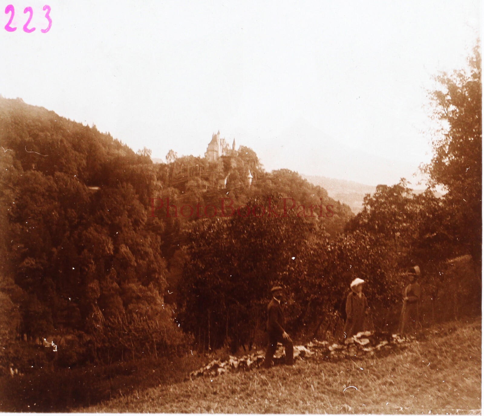 Mountain Landscape Castle c1900 Photo Plate Glass Stereo Vintage