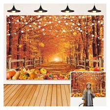 Autumn Backdrop Fall Pumpkin Harvest Rustic Forest Thanksgiving Day Background