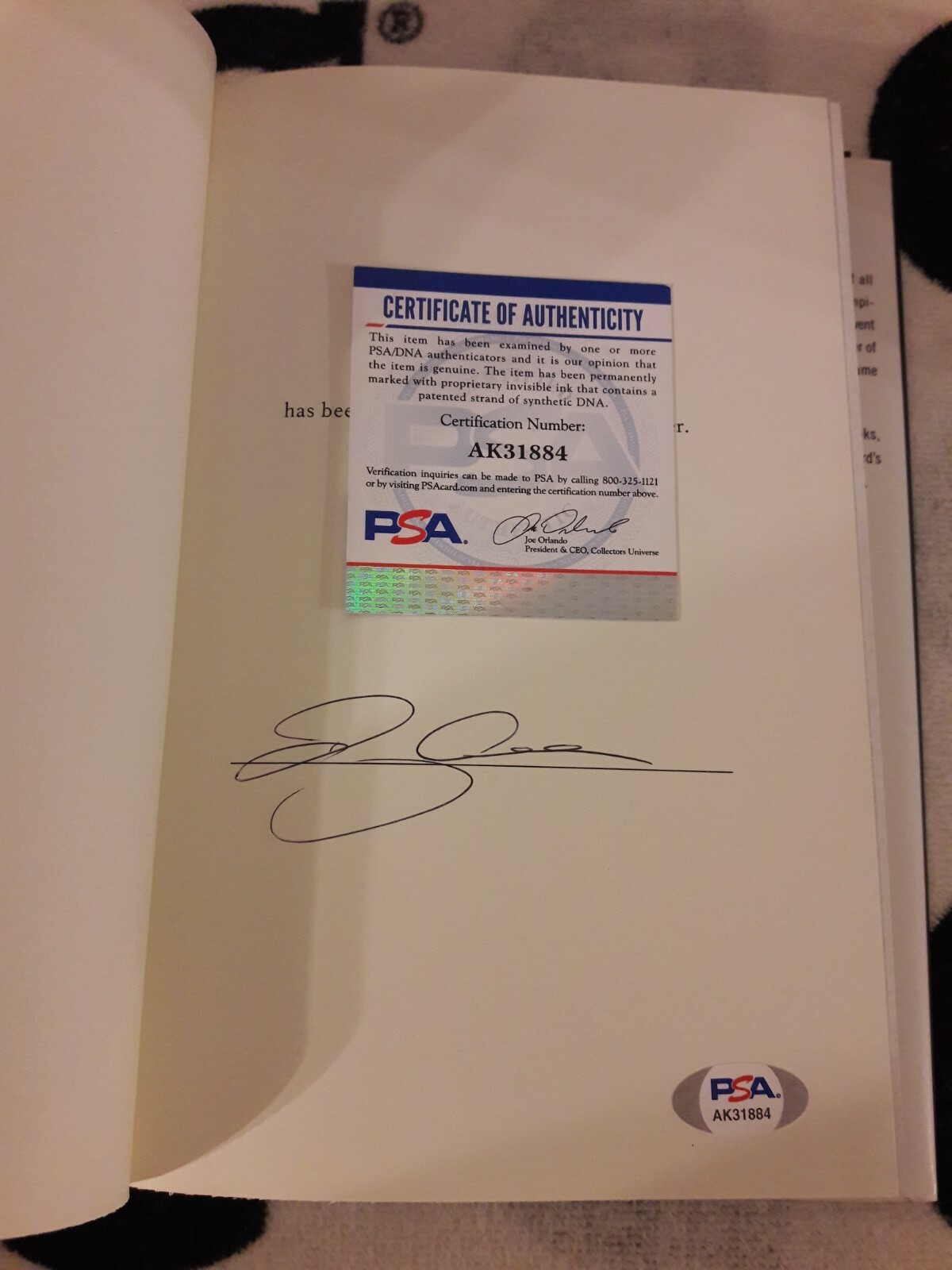 Ray Allen Autographed Signed Boston Celtics Book PSA DNA COA From The Outside 