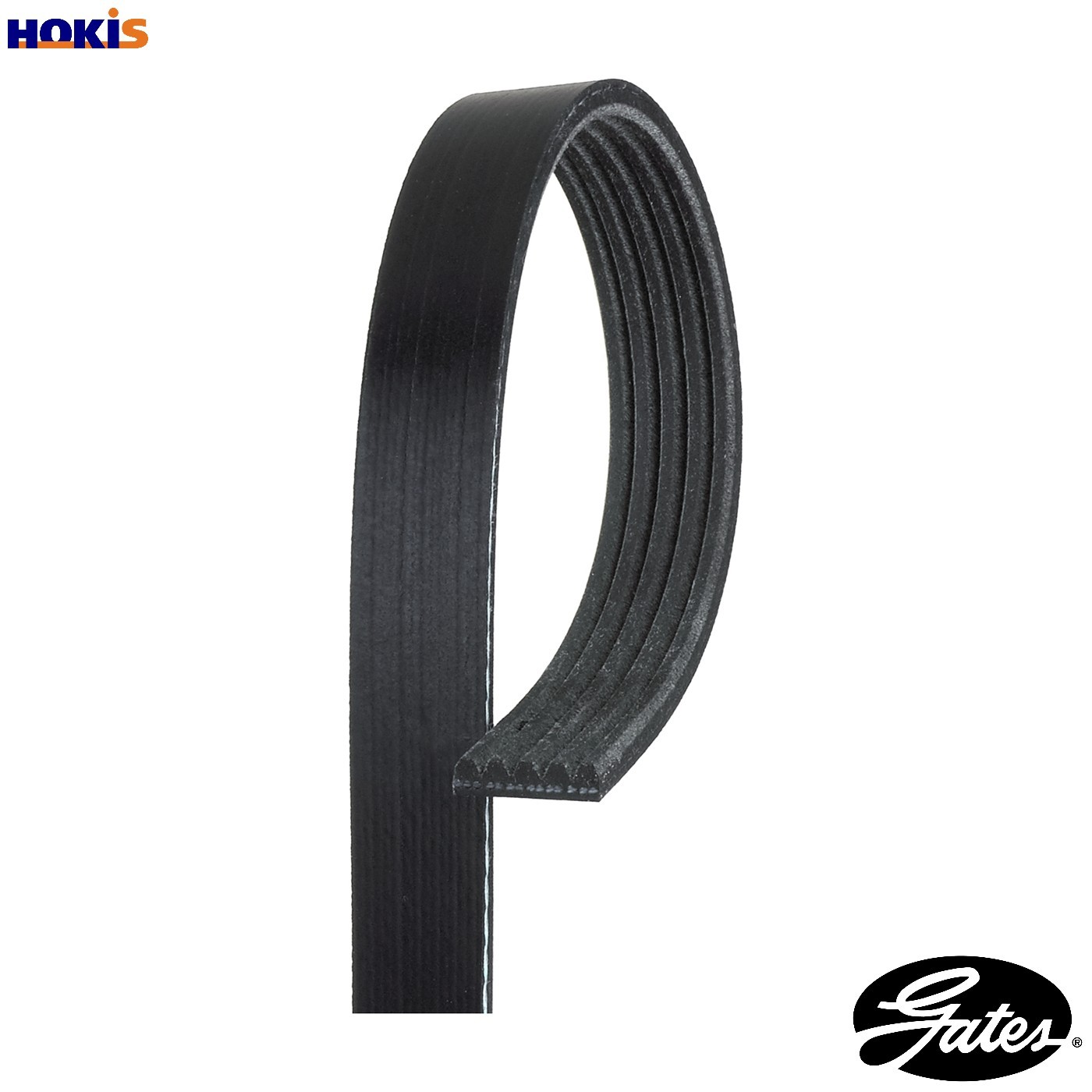V-Ribbed Belt 1595mm Length Belt Drive Fits Ssangyong Tivoli XLV GATES 5PK1595 - Image 10