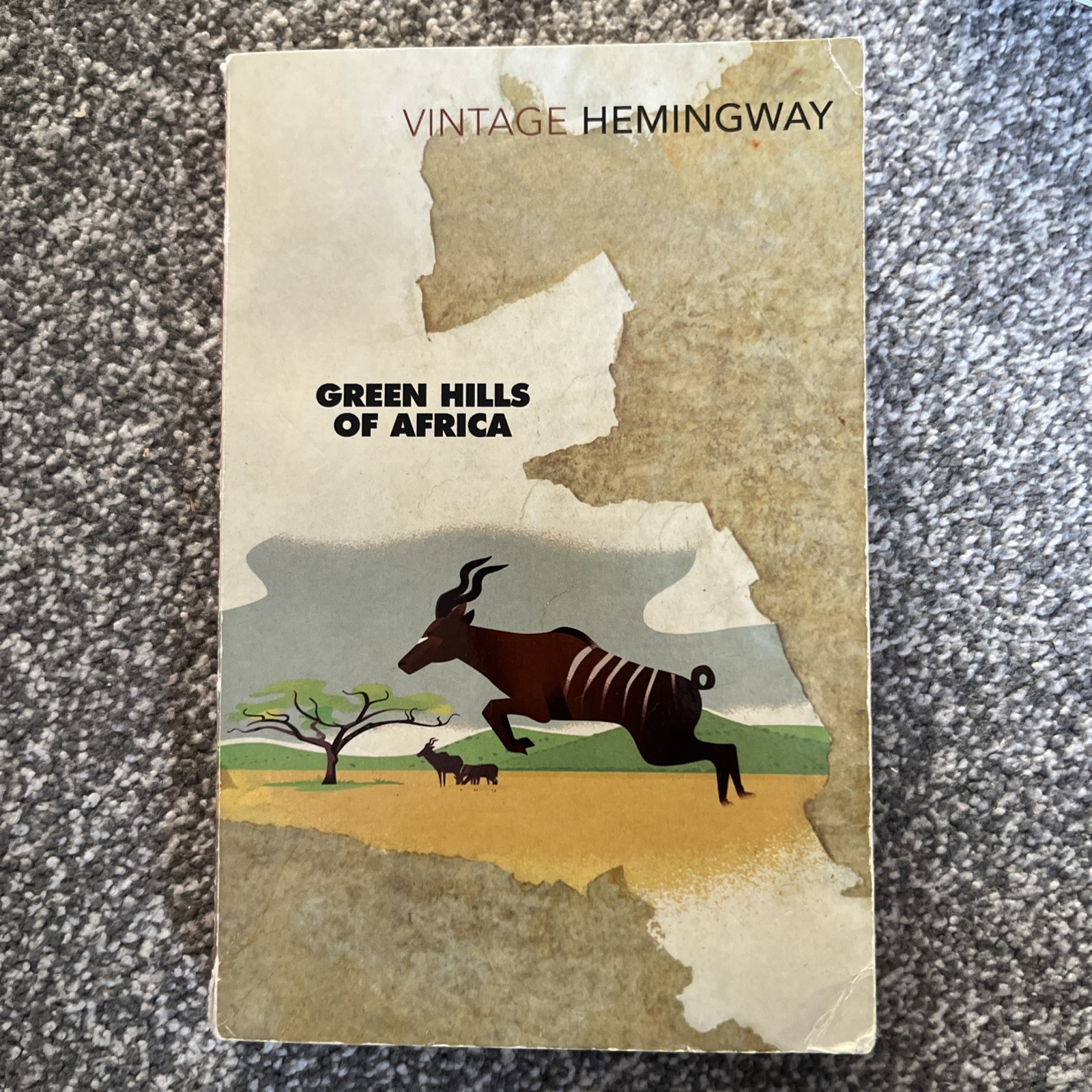 Green Hills of Africa by Ernest Hemingway (Paperback, 2004)
