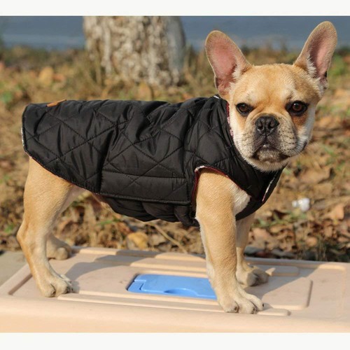 Dog Vest, XL Plaid, Winter Kuoser Cozy Water & Wind Resistant Reversible - Picture 5 of 6