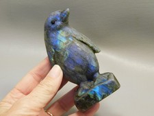 Penguin Figurine Labradorite 4 inch Stone Ani...