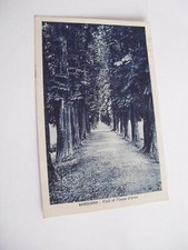 Cuneo - Savigliano Viali di Piazza d'Armi - spedita f. p. 1946 franc asp 