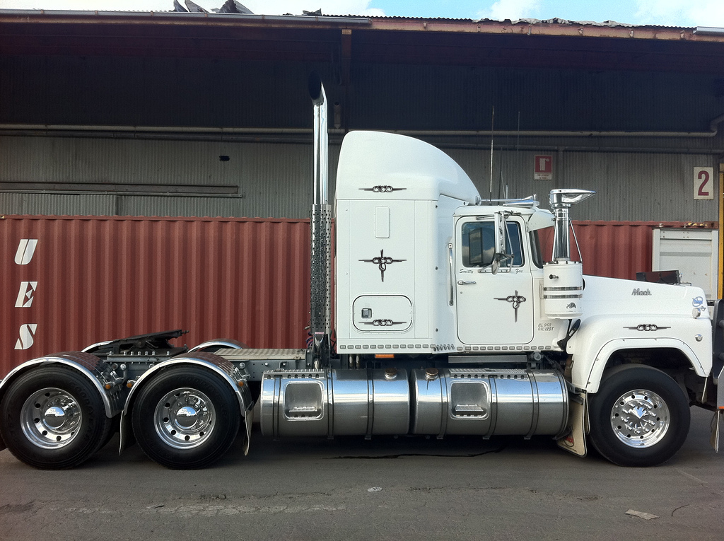 Scroll decorative swirl sticker set of 12 Truck Horse Float vinyl pin