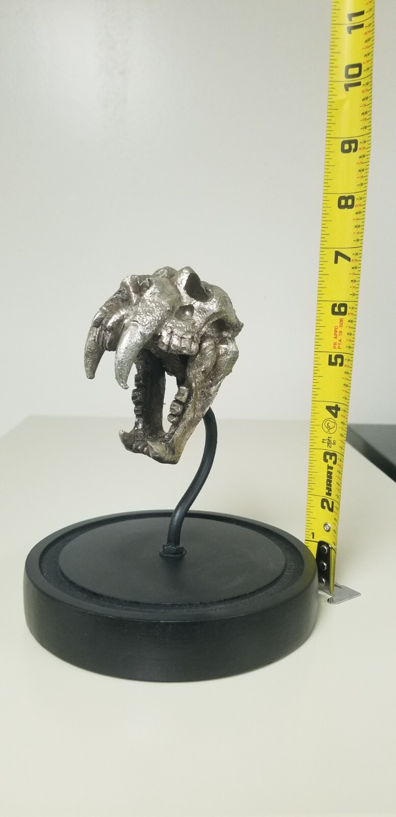 Picture 6 of 7