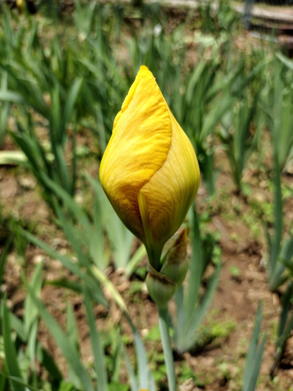 Picture 22 of 22