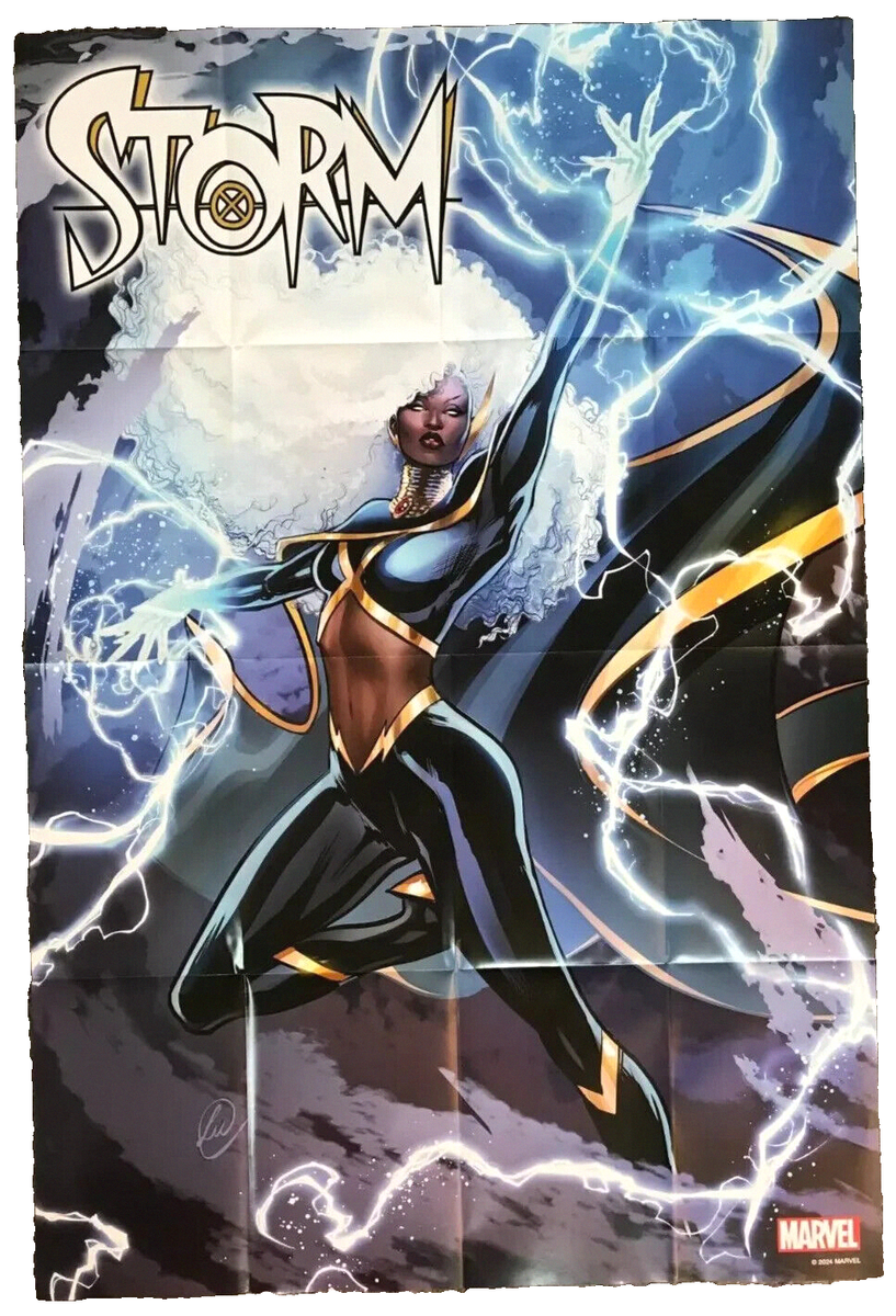Storm #1 - 24x36 Folded Promo Poster - Lucas Werneck - NM