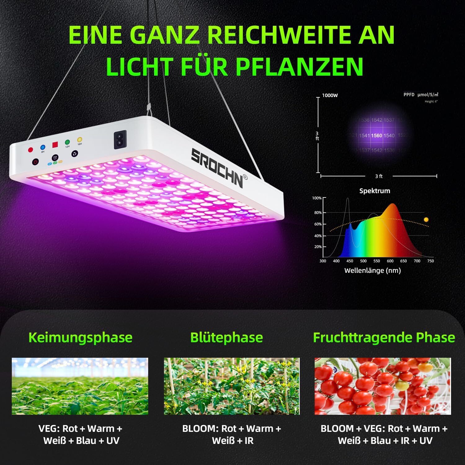 Bild 8 von 18