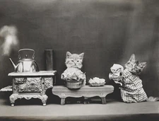 Cats Kittens Washing Dishes - 1914 - Animal Photo Poster