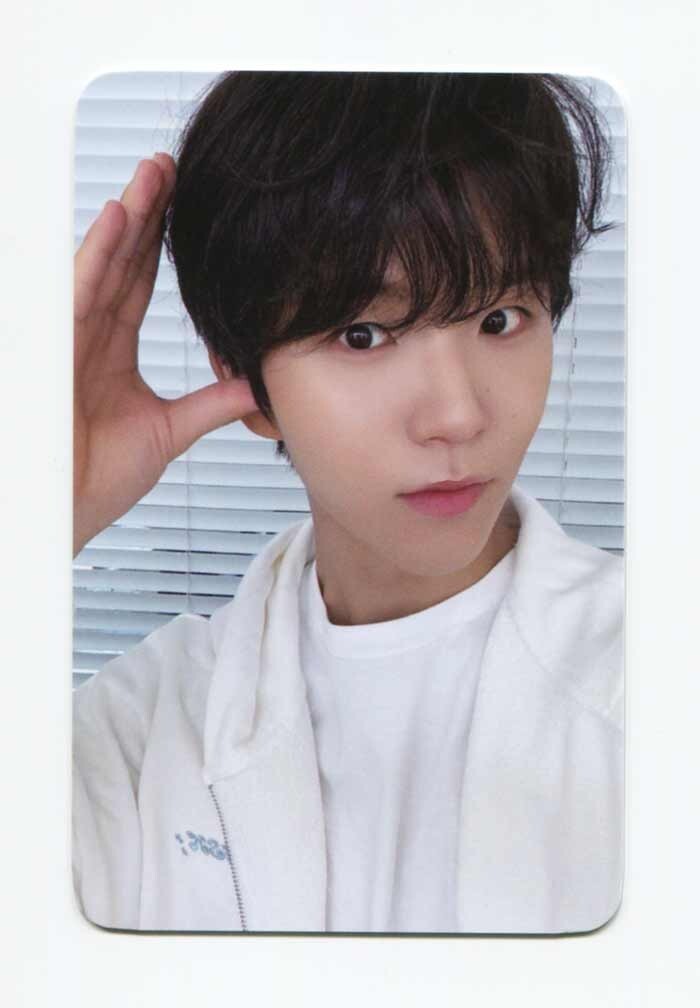 nctwish nct wish everline ヨントン トレカ 6枚セット nctwish nct