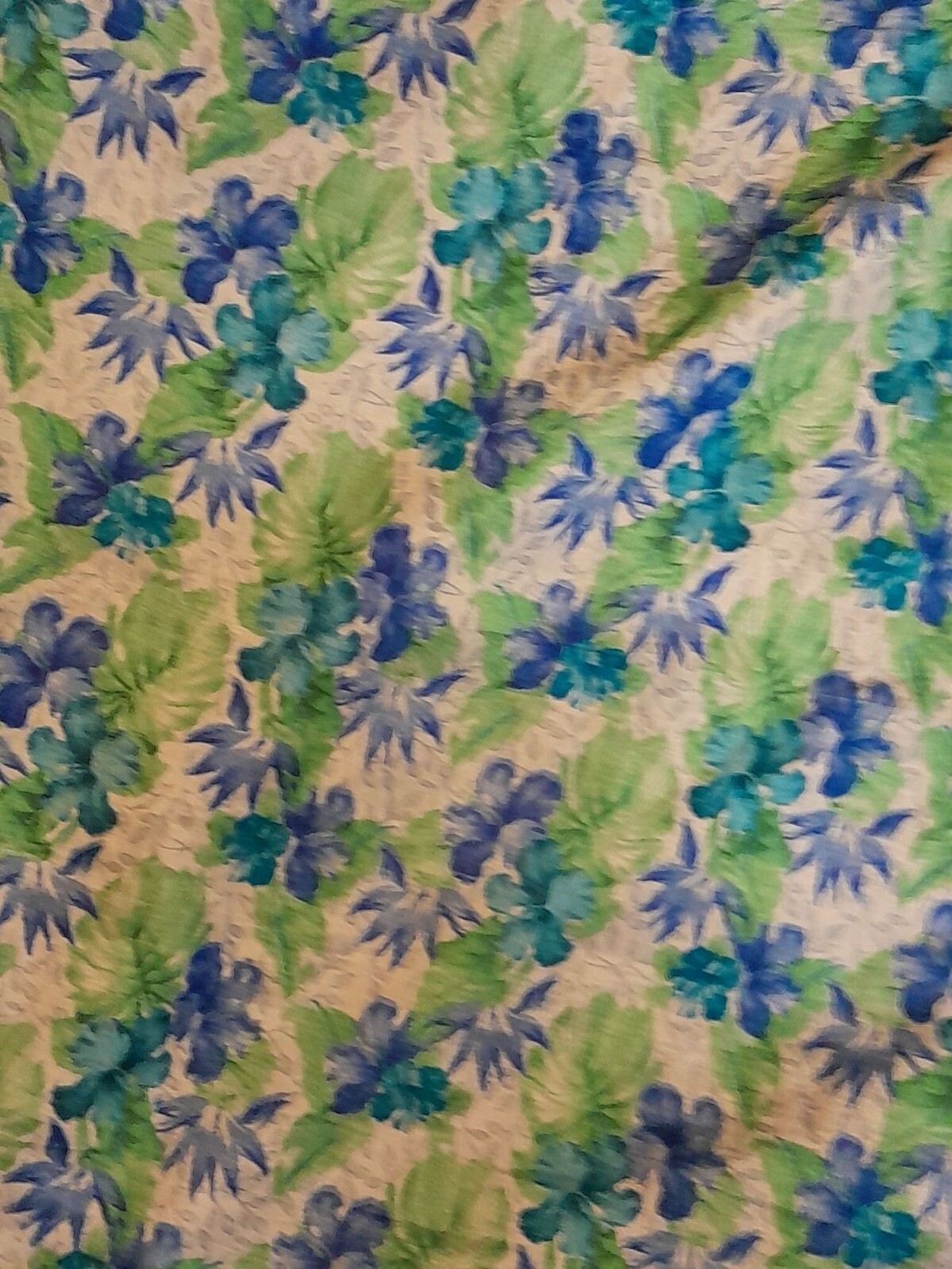 Picture 4 of 5