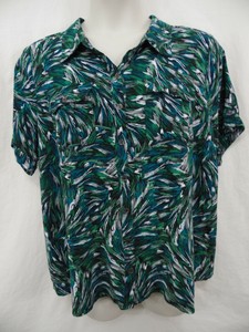 leopard sheer blouse