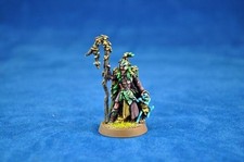 Warhammer painted Wood Elf Male Spellsinger with Staff
