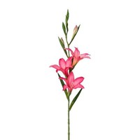 Artplants KüNstliche Gladiole Lundyl, Rosa, 70Cm