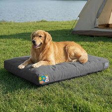 Extra Large 42" Waterproof Canvas Dog Bed with Removable Cover - Dark Grey