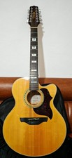 Vendo Chitarra Takamine a 12 corde amplificabile.