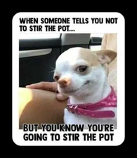 Funny dog   refrigerator magnet 3 1/2 X 4 1/2 "