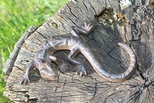 Gusseien Gekko Salamander Eidechse Garten Deko Figur Skulptur Metall braun