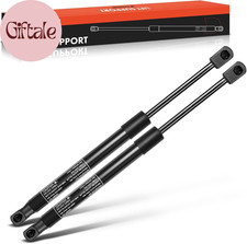Front Hood Lift Supports Struts Shocks Compatible with Dodge Ram 1500 2009-2010