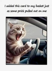 NEW Open Happy Birthday A5 Sized Card Adult Humorous Funny Birthday Card Cats