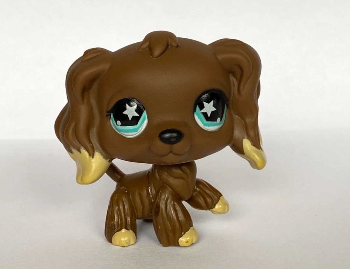 Lps cocker spaniels store for sale
