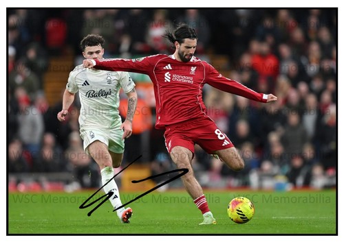 11293. Dominik Szoboszlai Signed Pictures (A4 Prints) Liverpool Leipzig Hungary