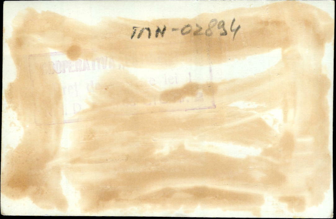 IMN02894 brigitte bardot actress actor movie star film 5x7cm | eBay