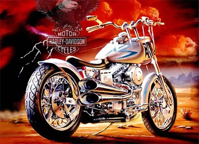 DIAMOND DOTZ Diamond Painting Motorrad 40x30 cm Pracht Creatives Hobby - Neu