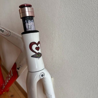 DE ROSA TEAM ロードバイクフレーム DE ROSA TEAM ロードバイクフレーム DE ROSA TEAM ロードバイクフレーム