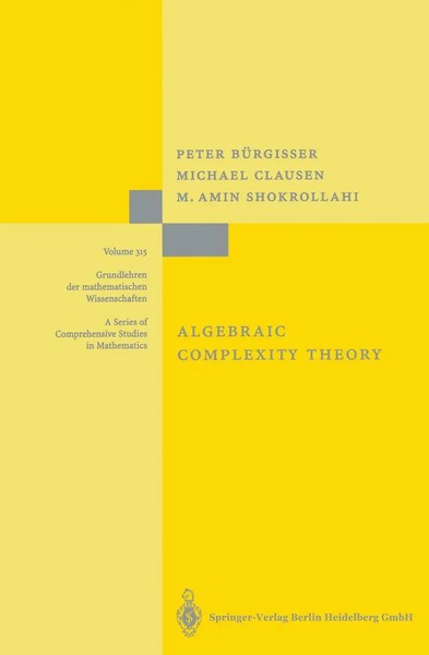 Peter BüRgisser (U. A.) | Algebraic Complexity Theory | Taschenbuch | Englisch-image