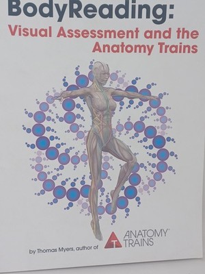 BodyReading: Visual Assessment and the Anatomy Trains