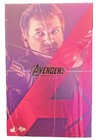 Hot Toys Hawkeye Avengers TV, Movie & Video Games Action Figures