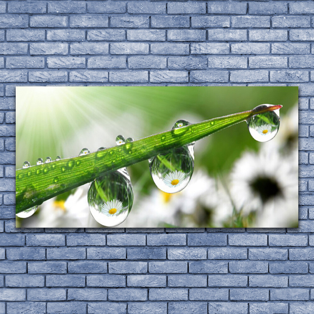 Photo sur toile image tableau impression 140x70 nature rosée panoramique