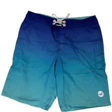 Hollister Board Shorts Mens 30 Blue Ombre Swim Trunks Mesh Lined Pockets