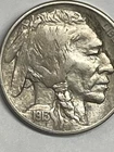 1913-P Type 2 Buffalo Indian Head Nickel Beautiful Antique First Year & Variety