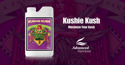 Advanced Nutrients Kushie Kush