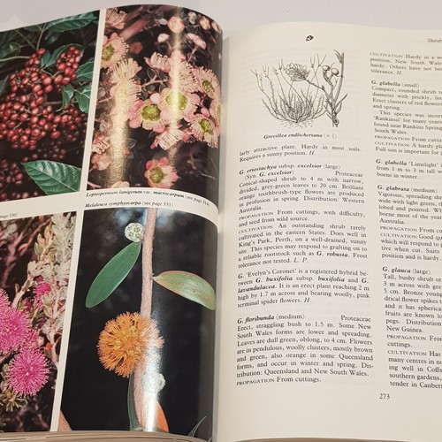 Australian Native Plants by John W. Wrigley Propogation Cultivation Landscaping - Picture 21 of 23