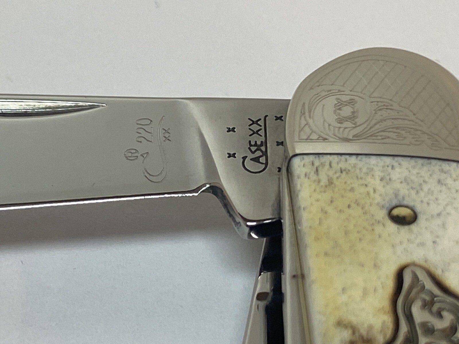 CASE XX SCROLLED ENCYCLOPEDIA MINT SET GENUINE STAG 5 SOWBELLY KNIFE