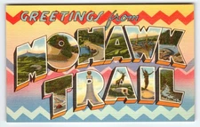 Vintage Greetings from Mohawk Trail Scenic Large Letter Postcard Tichnor Bros