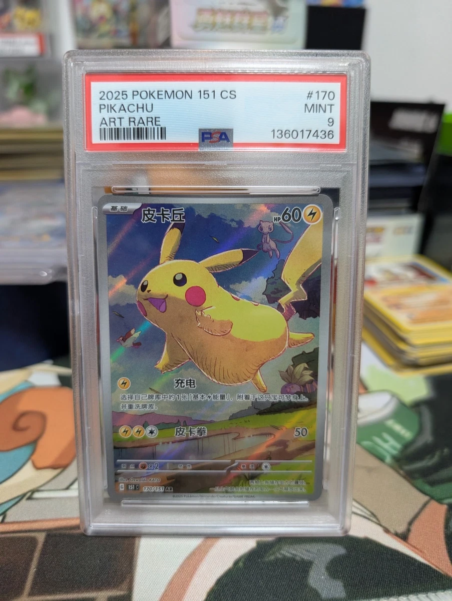Preços baixos em Pikachu Pokémon TCG Autenticador Esportivo