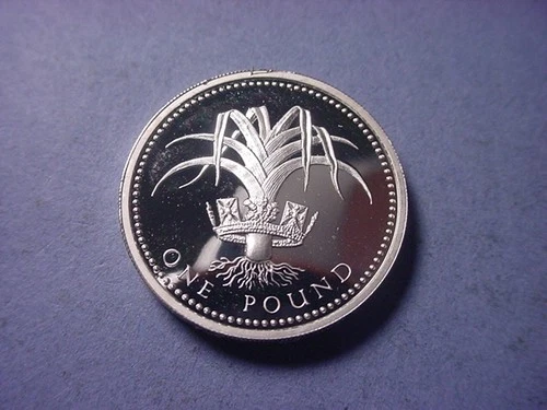Great Britain 1 Pound Silver Proof 1990 #104094
