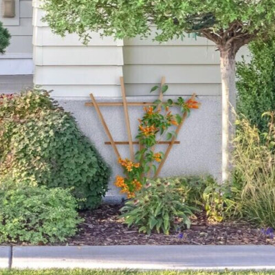 37'' Natural Unfinished Cedar Wood Picket Fan Trellis Flowering Vine Support